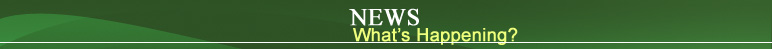 News - What's Happening?